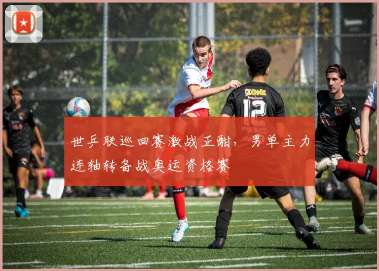 世乒联巡回赛激战正酣，男单主力连轴转备战奥运资格赛
